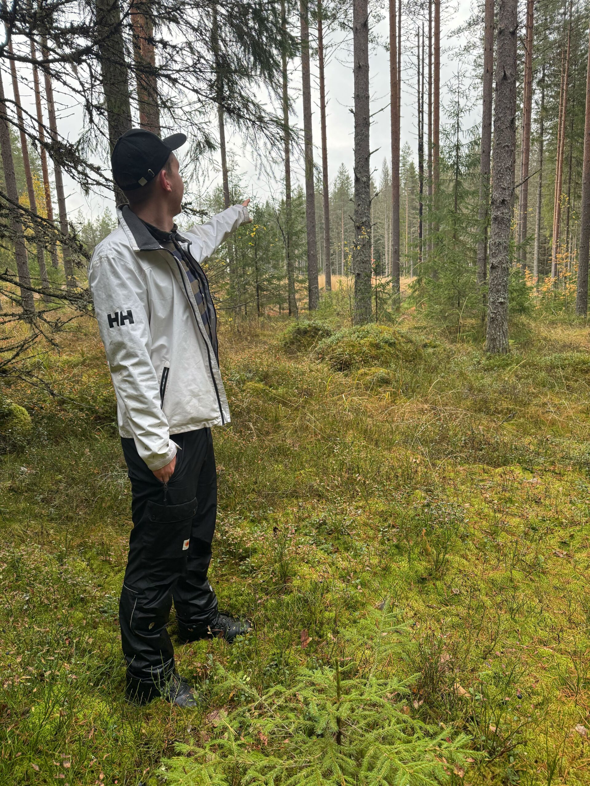 kirjanpainajatuhojen katsastusta